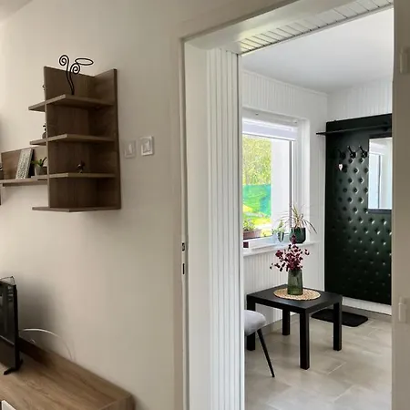 Fészek * Zalaegerszeg