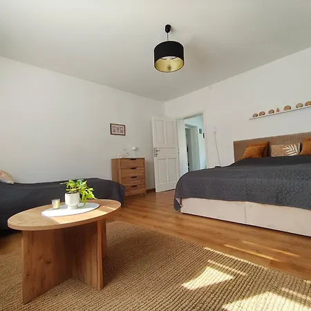 公寓 Feszek Vendeghaz *