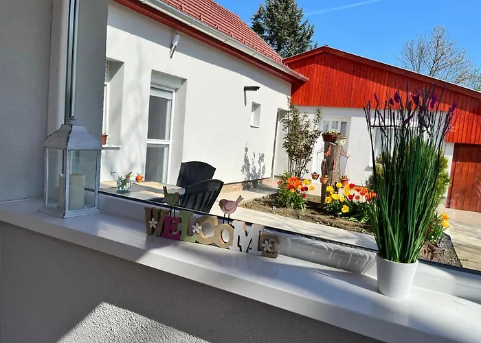 Fészek * Zalaegerszeg