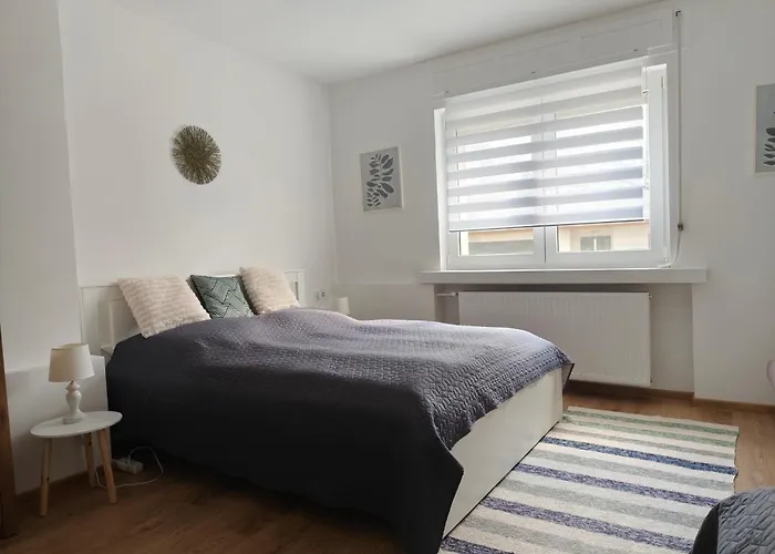 Feszek Vendeghaz * 佐洛埃格塞格